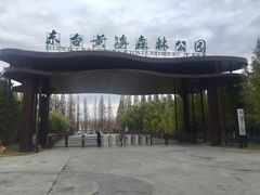 -黄海国家森林公园