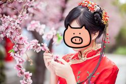 -金夫人婚纱摄影(华南店)