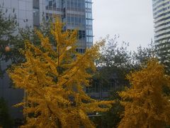 -首都图书馆-咖啡厅