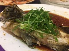 清蒸石斑鱼-盛港湾海鲜食府(黄沙店)