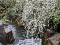 -中国茶叶博物馆(双峰馆区)