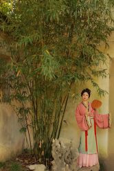 -一揽芳华汉服旗袍体验馆(拙政园店)
