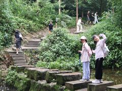-凤栖山