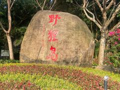 -野狸岛