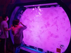 -沈阳海洋探索中心