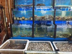 -老东镇啤酒屋海鲜加工·蒸汽海鲜·海鲜烧烤(台东店)