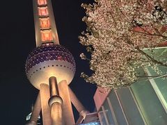 -东方明珠广播电视塔