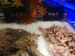 -韩京炭火烤肉自助料理(柯桥万达店)