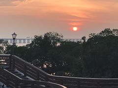 -宝安西湾红树林湿地公园