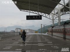 -张家界站