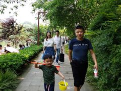 -重庆彩云湖湿地公园