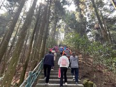 -井冈山风景名胜区-黄洋界