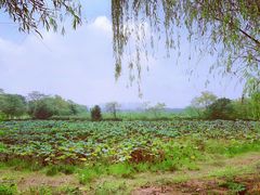 -盘龙城国家考古遗址公园