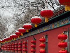 -白家大院·王府宫廷菜(苏州街店)