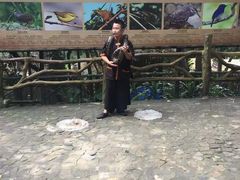 -海南槟榔谷黎苗文化旅游区