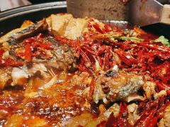 -辣尚瘾·烤鱼·新川菜(交大直营店)