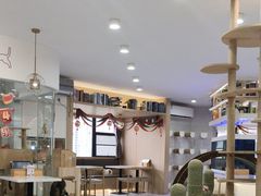 -喵园·猫主题咖啡厅·撸猫·猫咖(国贸店)
