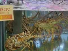 -大茄来海鲜餐厅(亚洲城分行)