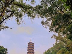 -大雁山风景区
