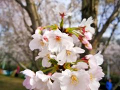 -幕燕滨江·长江观音景区