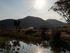 -径山花海