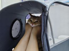 -拜鲁耶动物诊疗中心·宠家动物医院