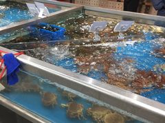 -盒马鲜生(大成店)