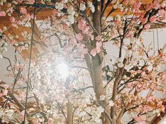 -蜜桃餐厅·伴山(湖滨商业街店)