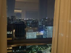 -上海漕河泾万丽酒店