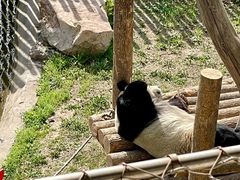 -沈阳森林动物园