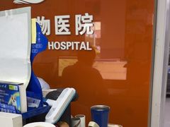 -瑞派福兴宠物医院犬猫全科·骨科·中西医结合(河东店)