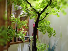 -锦绣金山人家(友谊店)