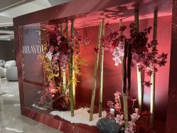 -深圳米兰柏羽医疗美容医院