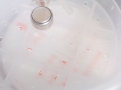 -自然之声助听器·呼吸机(公园路店)