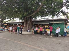 -南沙十九涌渔人码头-南门