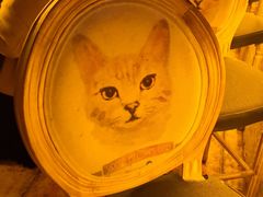 -Sirena海妖日咖夜酒