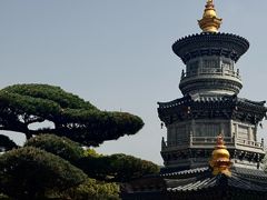 -庐山风景名胜区-东林大佛