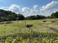 -宁波野生动物园
