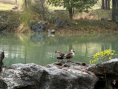 -杭州植物园