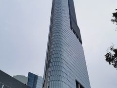 -紫峰大厦