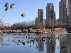 -前关湿地公园
