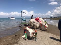 -青海湖国家重点风景名胜区