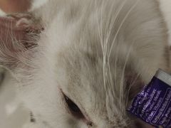 -怪兽屋·羊驼·猫咖·狗咖(俊华广场店)