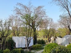 -Supine Bistro溯泮餐厅