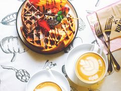 華夫&風味拿鐵-吉丁鸟咖·异宠·寄养