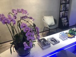 -SEBASTIAN塞巴斯汀