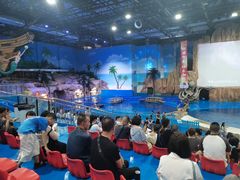 -华夏文旅海洋公园