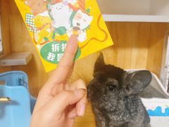 -麦当劳(宾水西道店)