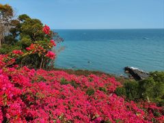 -涠洲岛火山国家地质公园