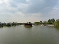 -上海鲜花港